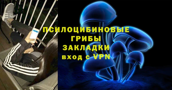 дмт Богданович